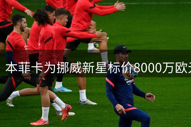 本菲卡为挪威新星标价8000万欧元 热刺引援遭遇强硬谈判